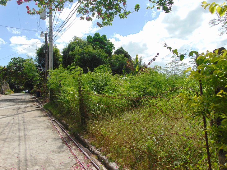 Residential Lot located in Banilad Area Cebu City-431 Square Meters